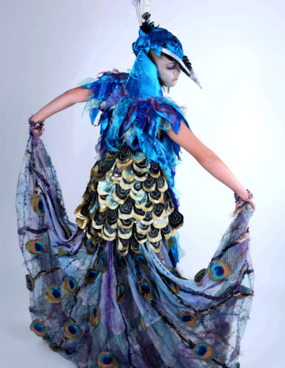 The Peacock by Suzette Darcey